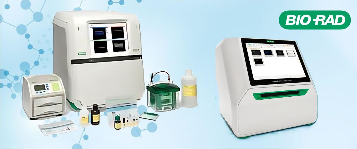biorad