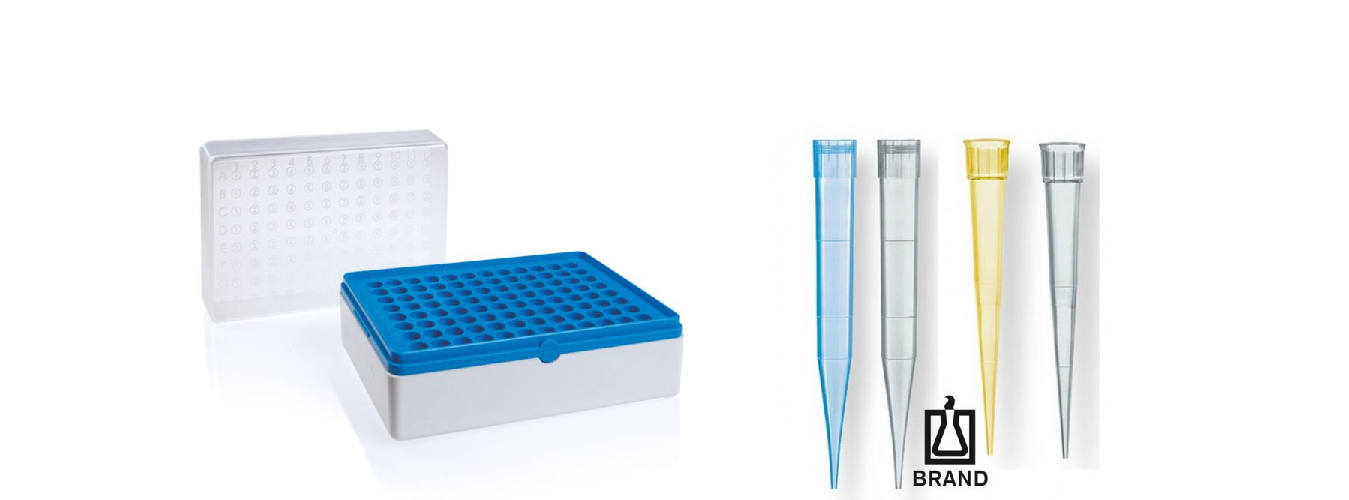 Health sciences
